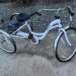 Adult Tricycle Trike w/ Basket