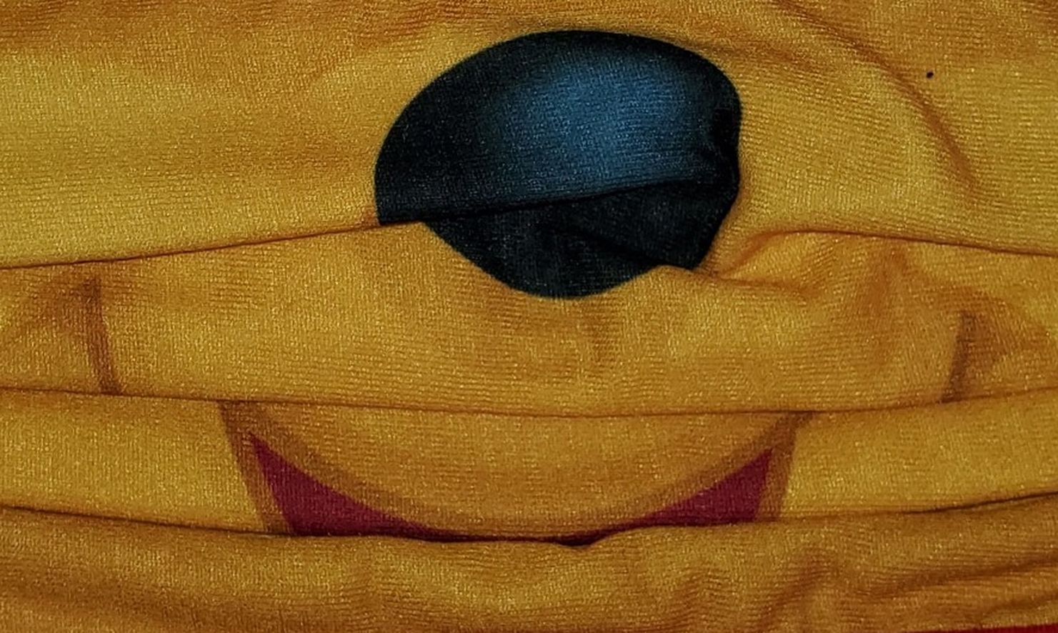 Disney Winnie-the-Pooh Face Mask