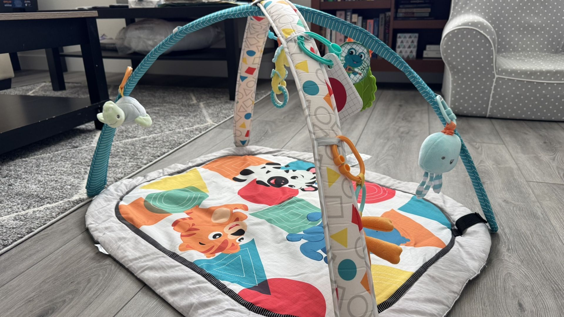 Baby Einstein Play Gym