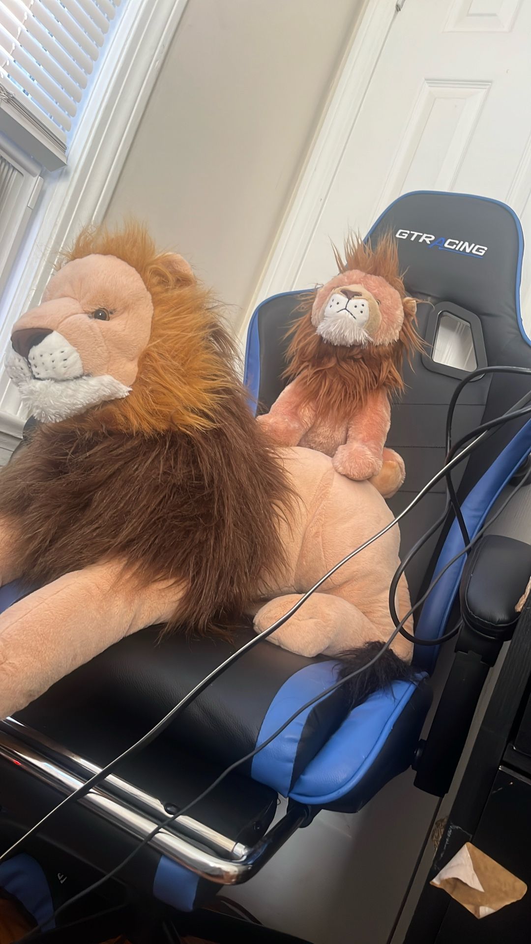 Lions Teddy Bears And Game Chair