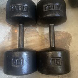 75lbs York Roundhead Dumbbells 1 Pair