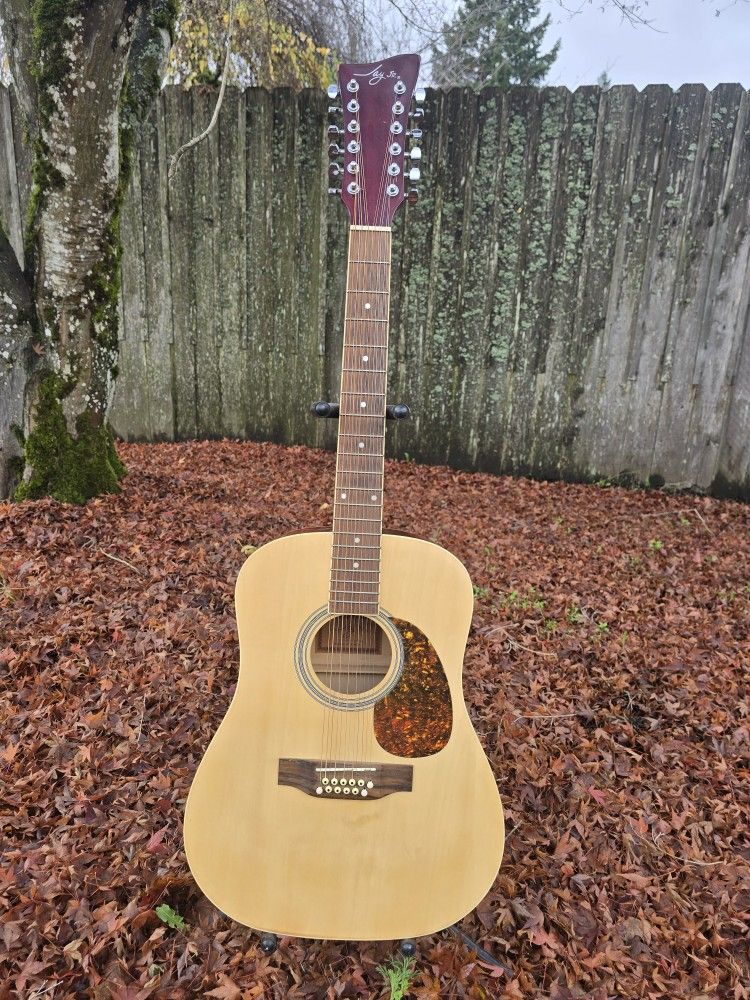 Jay Jr. 12 String Acoustic  Guitar