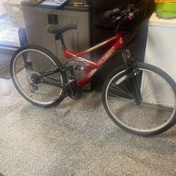 Bike - Need Tuning Only