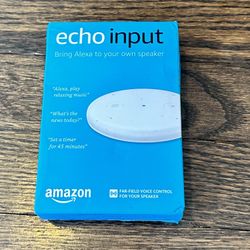 Amazon Echo Input
