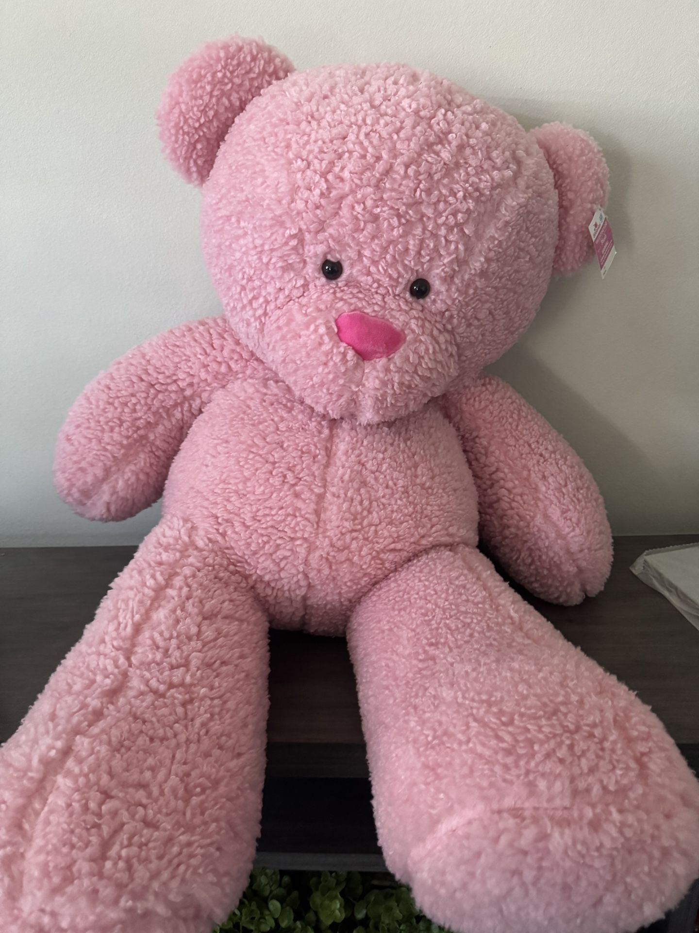 4ft Bear