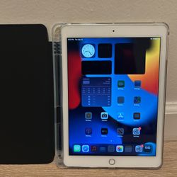 iPad Air 2 with Case / Glass Screen Protector