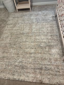 Blush Area Rug 