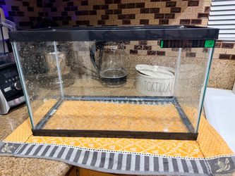 10 gallon tank