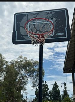 Basketball court