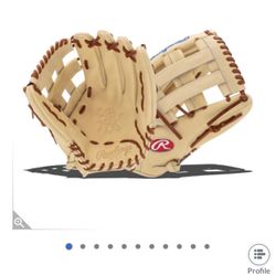 Rawling baseball Glove 