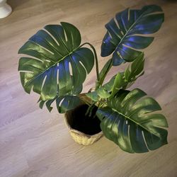 Large Faux Monstera Plant w/ Basket – Modern Home Decor