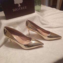 Beautiful High-end Metallic Silver Dress Shoes Boots And Matching Purse