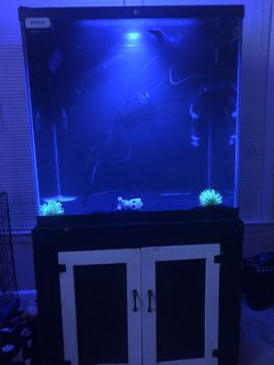 Fish Tank
