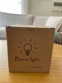 Incandescent Industrial Antique Style Bravelight Edison Bulbs
