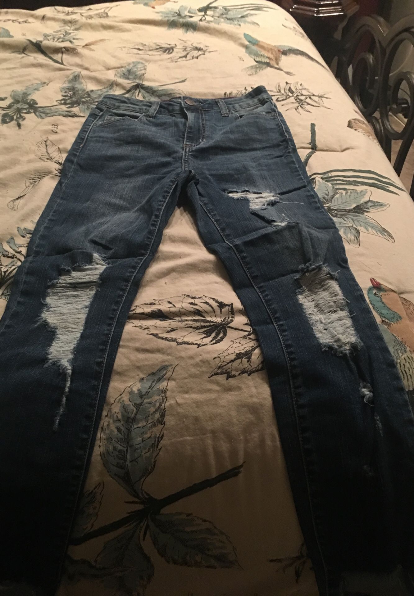 Cello jeans