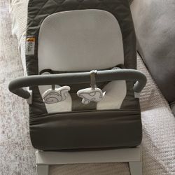 Baby Delight Portable Bouncer