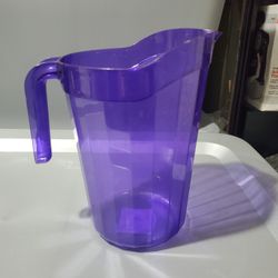 Purple Pitcher