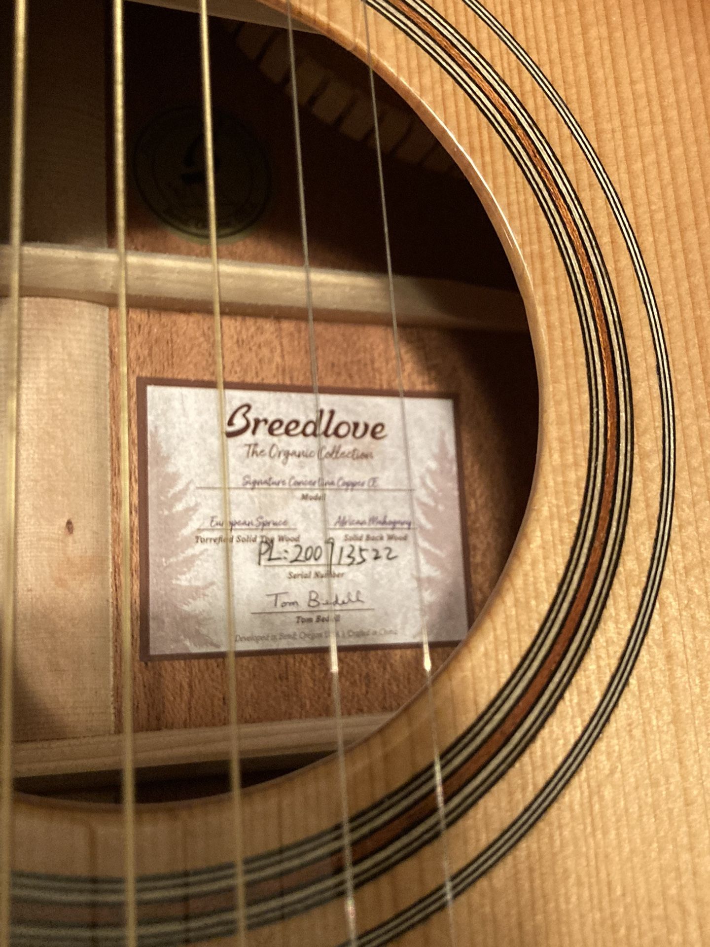 Breedlove Guitar
