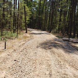 Land Clearing And Dirt Work 