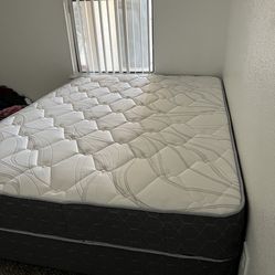 Comfortable Queen Bed Like New