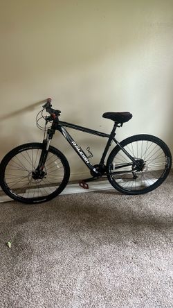 Raleigh Tallus29