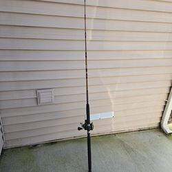 Fishing Pole W/ Reel