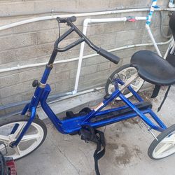 Tricycle for adult