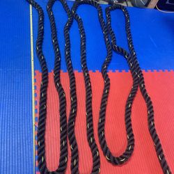 2" Battle Rope Gym Workout 