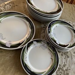 Dinner  and desert Plates