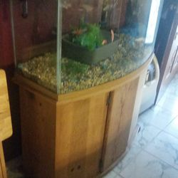 BOW FRONT FISH TANK WITH CABINET 55 GAL