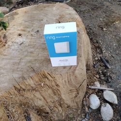 Ring Smart Lighting Bridge