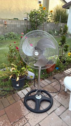 Fan