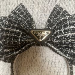 Disney Minnie Ears