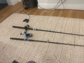 Two fishing rods