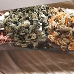 Lots Of Fringes..store  Closing In 2weeks 