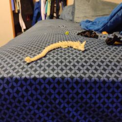 Glow In The Dark Dragon Toy