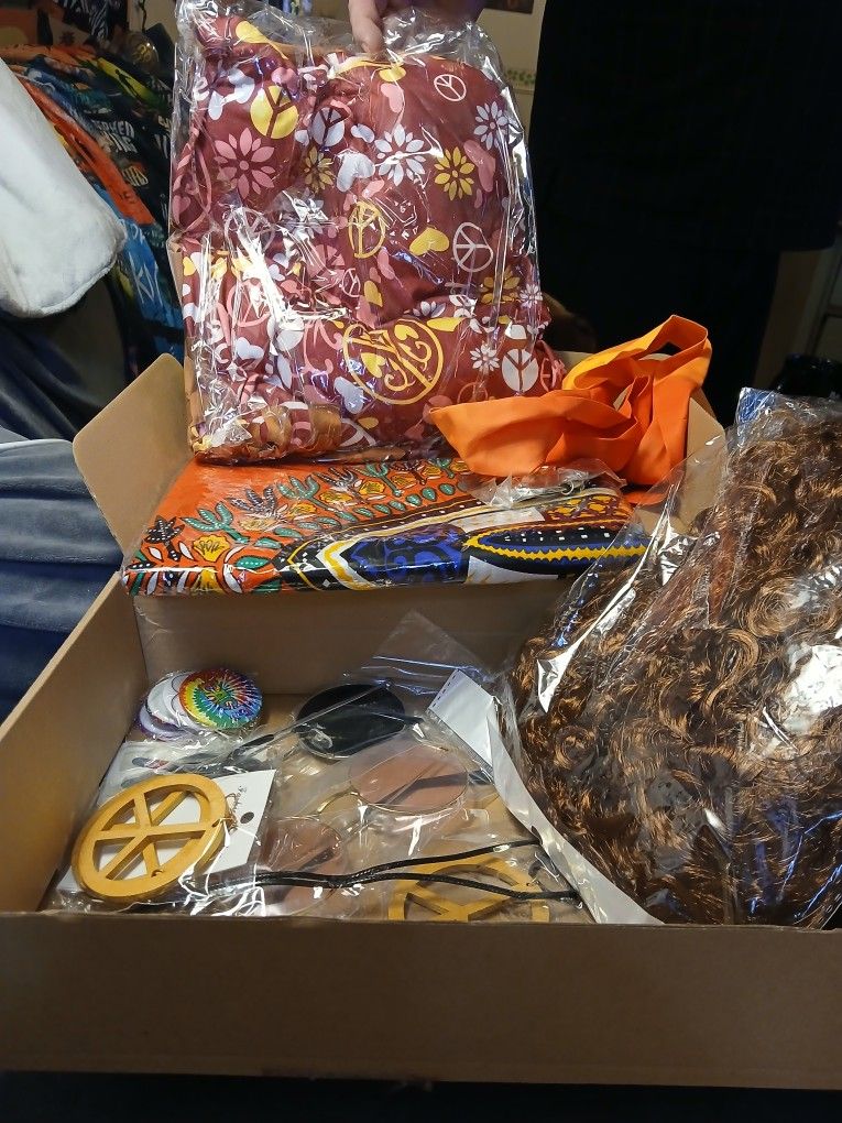 Gypsy Costume 25.00 Comes With A LOT