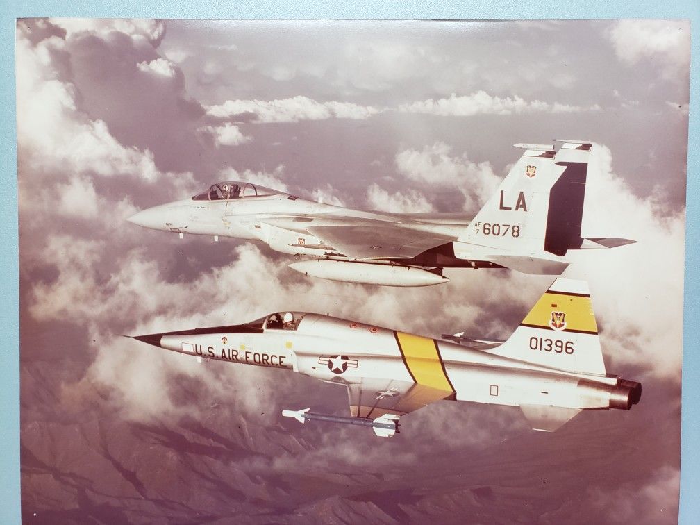 F-15A Eagle & F-5 Tiger 🐅 Photo