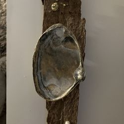 Seashell Jewelry Holder