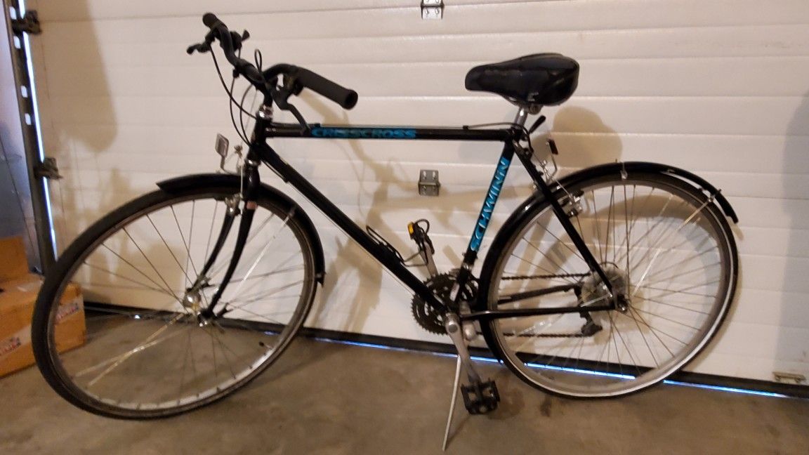 Basic Adult Bike