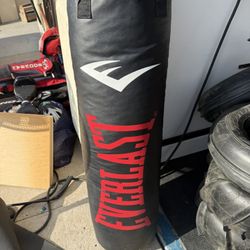 Everlast 100 pound punching bag