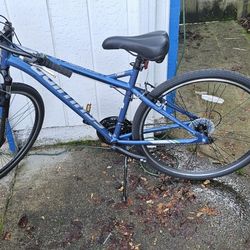 Schwin Bike (New, Missing Parts)