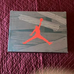 Jordan 5 Raging Bull
