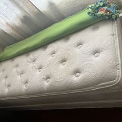 Twin Size Bed + Box Spring - Good Condition