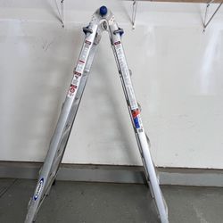 Werner Ladder - 25ft