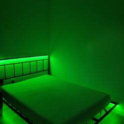 BED FRAM NEW 100 DLLS