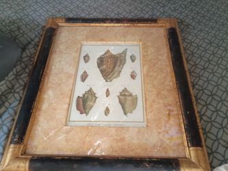 Vtg John Richards shell pictures gold corner  plated and interior