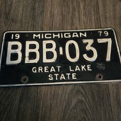 Vintage Michigan Great Lake State License Plate 