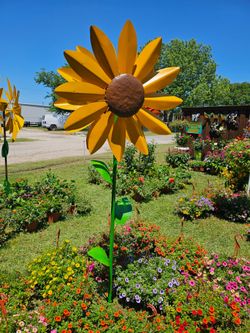Metal Sunflower Spinner. Yard Art. Clay Pots, Planters,Plants. $90 cada uno