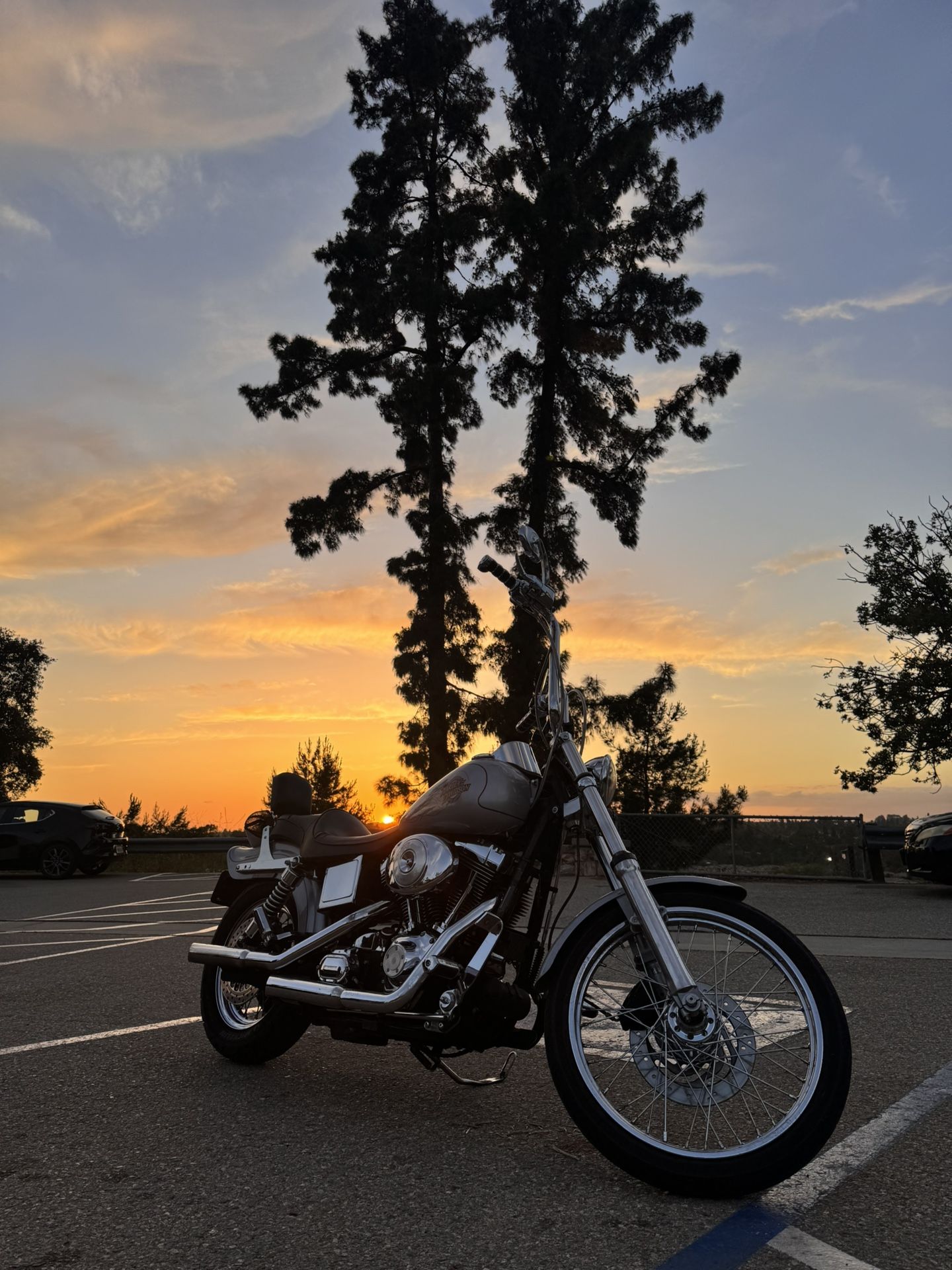 2001 harley davidson dyna wide glide